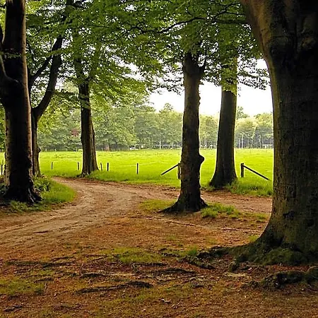 Landgoed Ehzerwold 3* Almen
