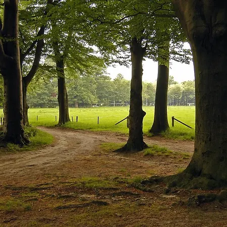 Landgoed Ehzerwold Hotel 3*