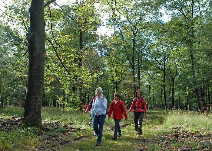 Landgoed Ehzerwold Szálloda Almen