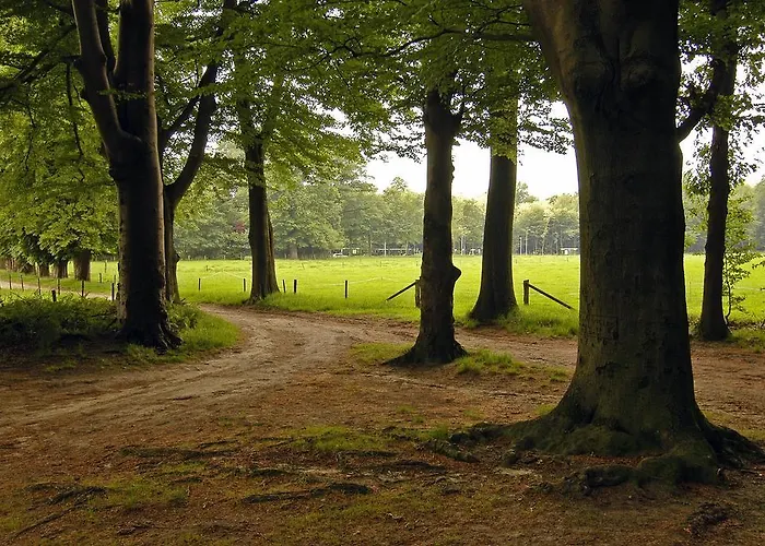 Landgoed Ehzerwold Hotel 3*